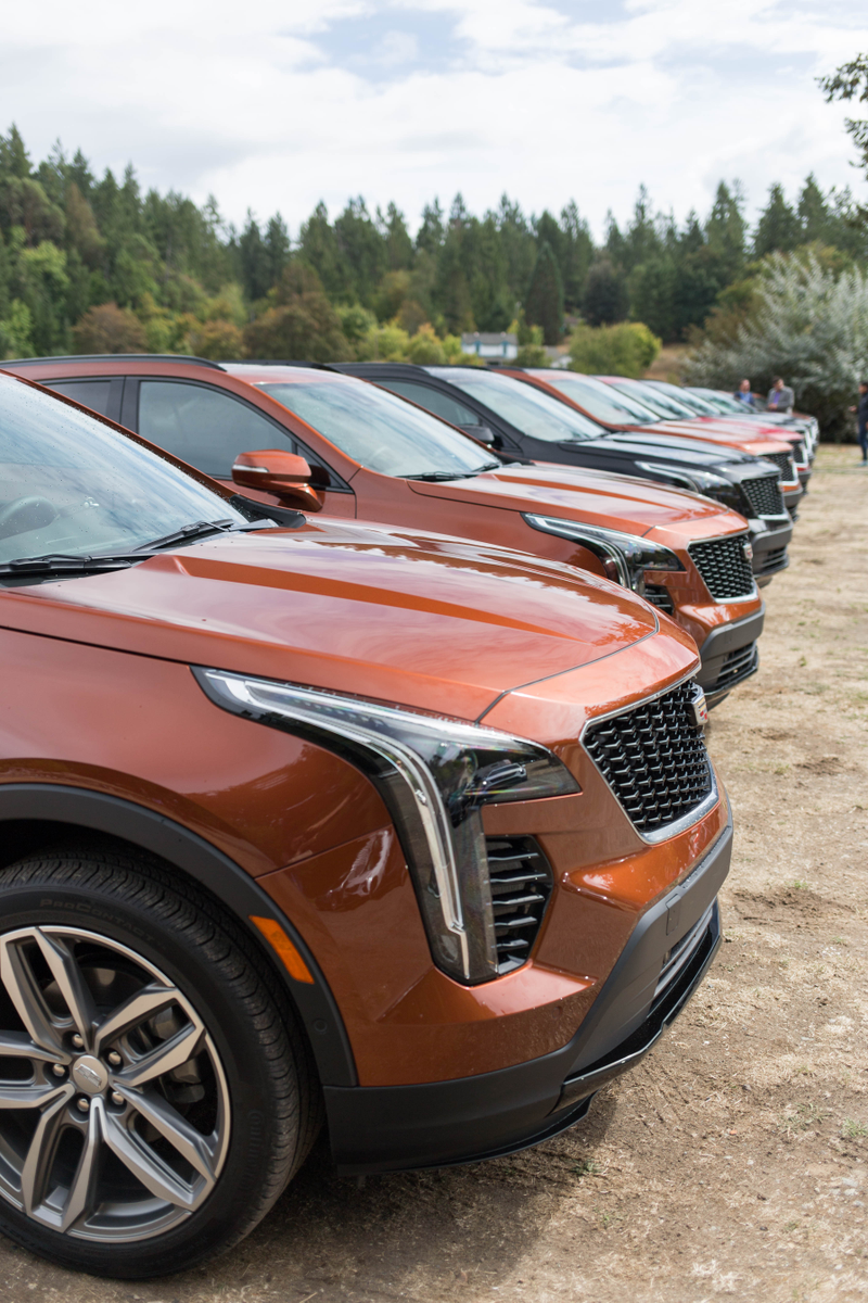 Illustration for article titled The 2019 Cadillac XT4 Tries Really Hard to Be a Fun Car